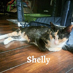 Photo of Shelly