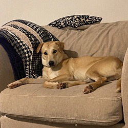 Photo of Jak Daniels