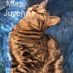 Photo of Miss Juyon at Martinez Pet Food Express May 4th