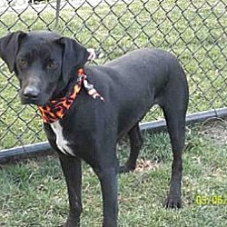 Photo of Bingo-Special Needs/Sponsors