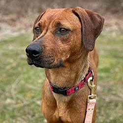 Photo of Francine