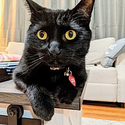 Photo of Selene