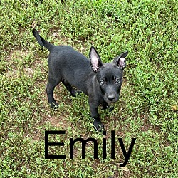 Photo of Emily