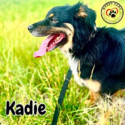 Thumbnail photo of Kadie #4