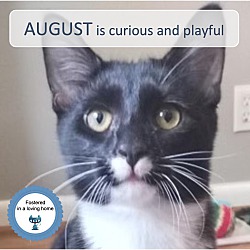 Thumbnail photo of August #1