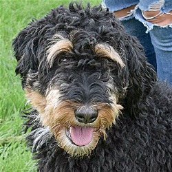 Photo of Pumpkin