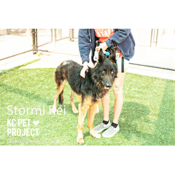 Thumbnail photo of Stormi Rei #2
