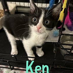 Photo of Ken