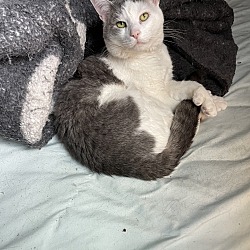 Photo of Finley