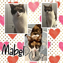 Photo of Mabel