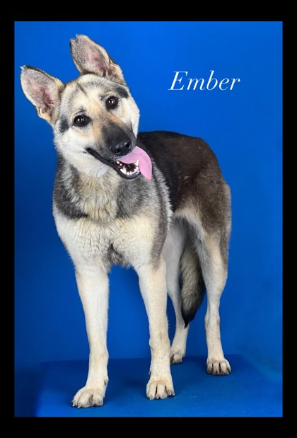Photo of EMBER