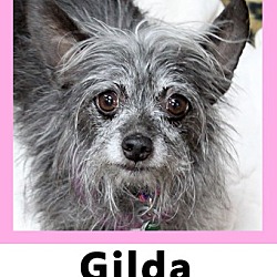 Photo of Gilda
