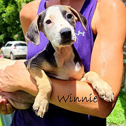 Thumbnail photo of Winnie~meet me! #2