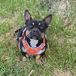 Photo of Armani