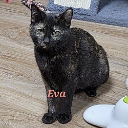 Photo of Eva