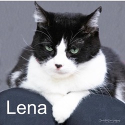 Photo of LENA
