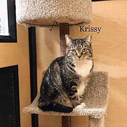 Photo of Krissy