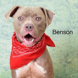 Thumbnail photo of Benson #1