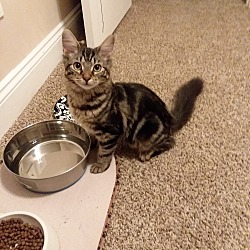 Photo of Storm