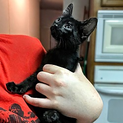 Photo of Ernie