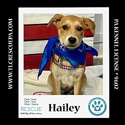 Thumbnail photo of Hailey (Summer Loves) 062924 #3