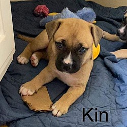 Thumbnail photo of Kin #2