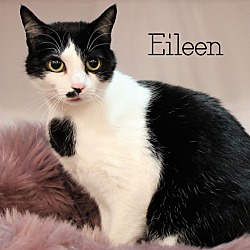 Thumbnail photo of Eileen #2
