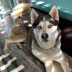 Photo of Phoenix