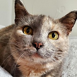 Photo of Dolly