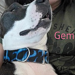 Thumbnail photo of GEM #4