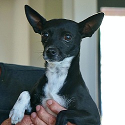 Photo of Maria