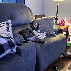 Photo of Ghost