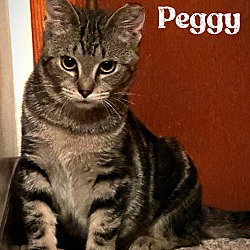 Thumbnail photo of Peggy #2