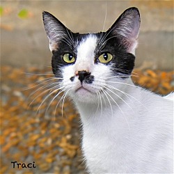 Thumbnail photo of Traci #1