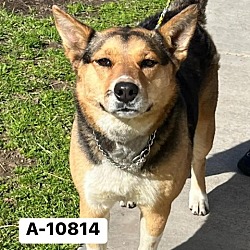 Photo of Cali