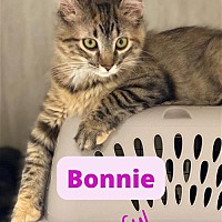 Photo of Bonnie