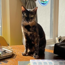 Photo of Molli