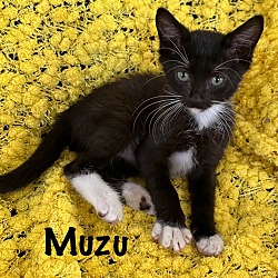 Thumbnail photo of Mizu #1