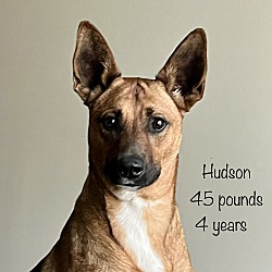 Thumbnail photo of Hudson #1