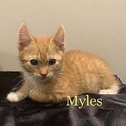 Photo of Myles