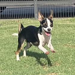 Photo of Zip