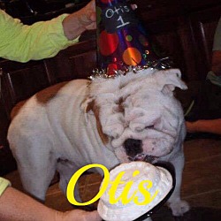 Thumbnail photo of Otis #2