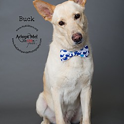Photo of Bucke