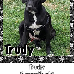 Photo of Trudy
