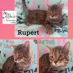 Thumbnail photo of Rupert #2