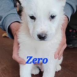 Thumbnail photo of Zero #2