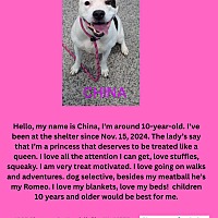 adopt a pet