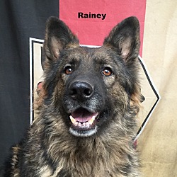 Thumbnail photo of Rainey #3