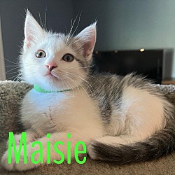 Photo of Masie