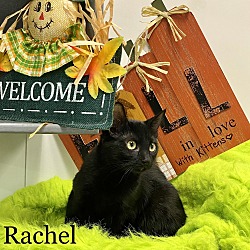 Thumbnail photo of RACHEL #3
